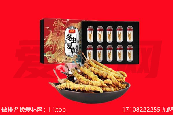 吉隆县回收虫草.jpg